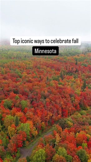 11 best fall activities to do in Minnesota 🧡 Explore @mnzoo Jack-O-Lantern Spectacular 🚗 Take a scenic drive 🚠 Ride the @lutsenmountains gondola 🎃 Visit a pumpkin patch 🍎 Check out an apple orchard 🥂 Sip hard apple cider 🏕️ Go camping 🌼 Hang out at the @mn_arboretum 🏈 Go to a @vikings game 🍻 Celebrate Oktoberfest ⛰️ Ride the Duluth Alpine Slide Follow @expeditionkristen for more inspo on hidden gems, lodging, breweries, events, travel ideas and much more in Minnesota and beyond. #daytr