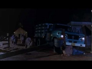 Night of the Lepus Bunnies Everywhere