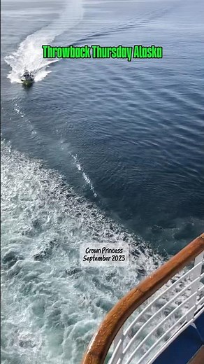 Throwback Thursday | Stunning Alaska Scenery from the Stern of Crown Princess 🚢 #travel #cruise