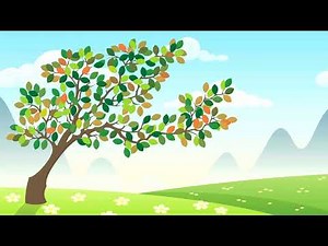 Spring Summer Fall Winter Animation video | Free Background Animation Footage for Beginners