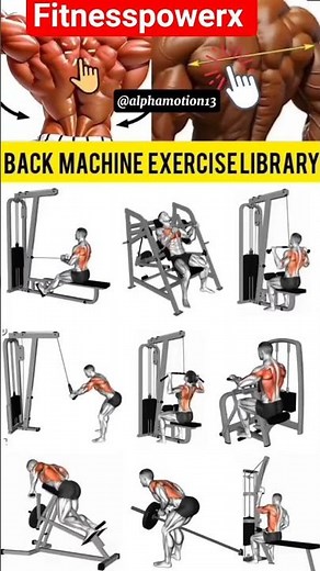 Intense Back Workout 🔥 Build a Wider & Stronger Back | Full Routine