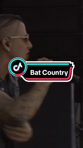 Unraveling the Meaning Behind 'Bat Country' Lyrics Video