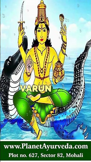 Varuna (Crataeva nurvula) - Ayurvedic Herb for Kidney Disease, Edema & Other Benefits