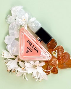 11K views · 1.3K reactions | #PradaParadoxe reinvents an iconic white floral bouquet with an avant-garde twist by reconciling contrasting accords of neroli, amber and musk to reveal unexpected sensory experiences. Follow #PradaBeauty for exclusive Paradoxe reveals. #PradaFragrances | Prada | Facebook