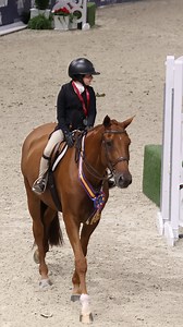 Beautiful rounds = 🥇❤️ | The Capital Challenge Horse Show