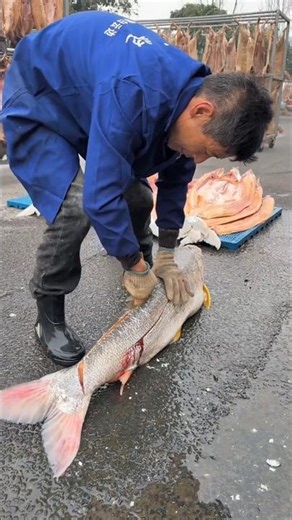 Large Fish Cutting Technique 🐟🔪 Amazing Skills #shorts