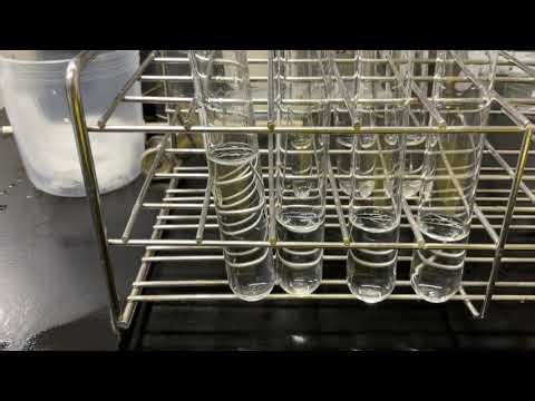 化学反応の速さ（時計反応）