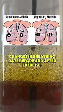 Bromothymol Blue (BTB) and pH Experiment #ph #bromothymol #science #oxygen #o2 #carbondioxide #co2