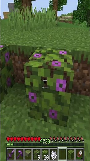HOW TO GET BLOOMING AZALEA LEAVES IN MINECRAFT / MINECRAFT DIY #395 #shorts