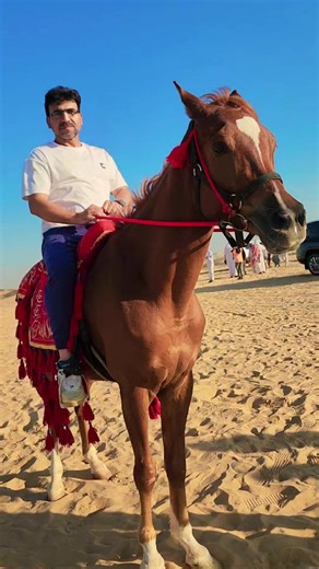 ‏#abudhabi🇦🇪 #fyp #friends