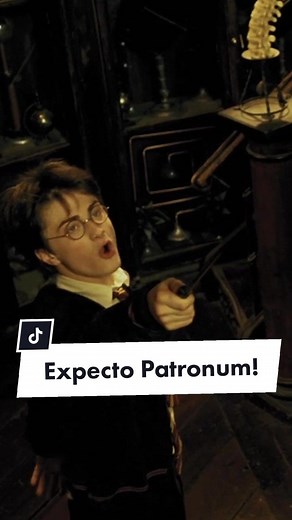 Harry Potter Patronus Era: Expecto Patronum