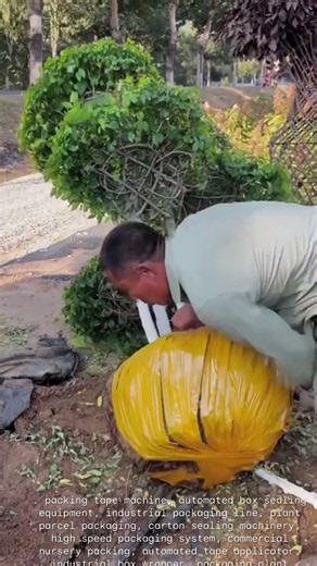 High-Speed Machinery Apply Packing Tape to Plant Packages