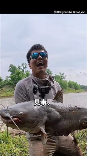 泥にまみれて・・。#釣り#海外#ナマズ#巨大魚#shorts