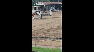 1.7K views · 68 reactions | Head-Shaking - success comes with the...