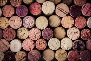 Winemakers choose natural cork for its positive effects on wine, in addition to its remarkable sustainable qualities. It's better for our wine, and better for our planet! #WeChooseCork | "100% Cork"