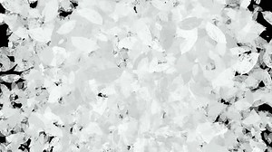 Leaf Transition Animation Looping Video Unique Stock Footage Video (100% Royalty-free) 1108841971 | Shutterstock