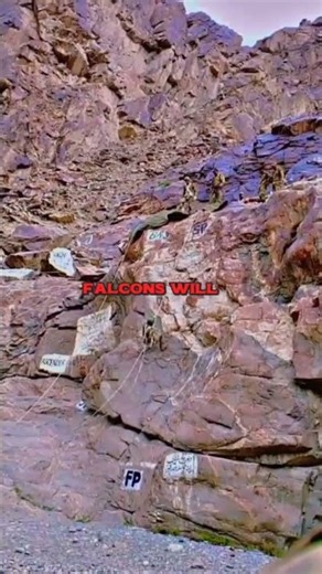 SSG Commandos Training Mountain Warfare #ssg #commandos