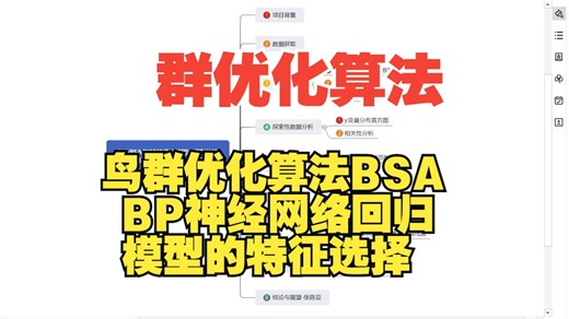 基于BSA与BP神经网络回归模型的特征选择方法研究(Python实现)