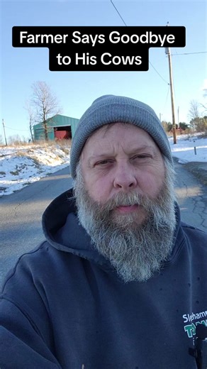 Saying Goodbye to Beloved Guernsey Cows: A Farmer's Heartbreak