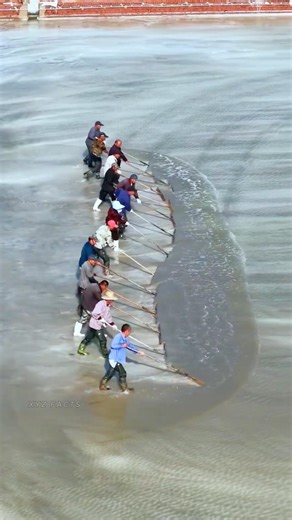 How Sea Water Is Turned into Salt Using Traditional Evaporation Ponds ?