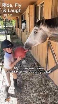 When horses discover toys… chaos and cuteness ensue 🐎😂#horses #horsefun #funnyhorse #viral #animals