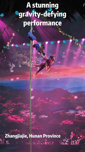 Don't blink! No ropes, no wires – only exceptional skills! Two acrobats gracefully descend a bamboo pole. Let's witness this breathtaking moment where body control defies physical limits. #TrendinginChina | Xi's Moments