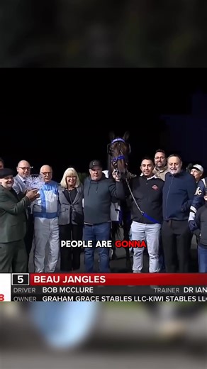 This is the undefeated 2-year-old rewriting what’s possible in Standardbred racing. - Perfect 12-for-12 campaign - New Stakes, track, and Canadian records - Beat top North American colts - No soft trips This isn’t hype. This is history in the making. This is Beau Jangles. #beaujangles #standardbred #standardbredracing #grahamgracestables #horseracing | Graham Grace Stables