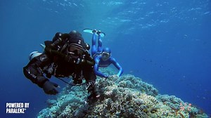 152 reactions · 111 shares | INTERSPECIES - powered by Paralenz! Two explorers - one passion free from gravity. Get inspired and join the deepest couple in the world below the surface! - Watch their adventures enjoying the ravishing Blue Hole in Dahab, Egypt! Meet Nataliia Zharkova - Freediving world record holder and the maker of the "Interspecies" movie Aron Arngrímsson - at the Paralenz Stand (6523) TODAY at DEMA Show from 02:00-05:00PM! | Paralenz | Facebook