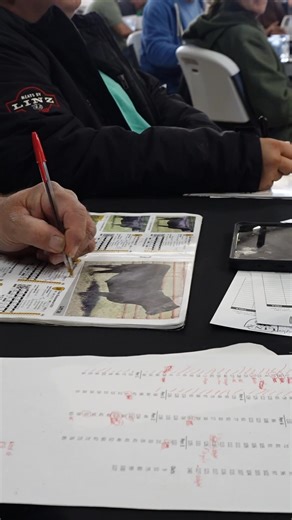 Started off the year with a great turnout for our 8th Annual Bull Sale. Thank you again to all the bidders and buyers who continue to support our program. We couldn’t do this without you. See you all September 18 for our Fall Bull Sale and September 19 for our 9th Annual Female Sale! | Linz Heritage Angus