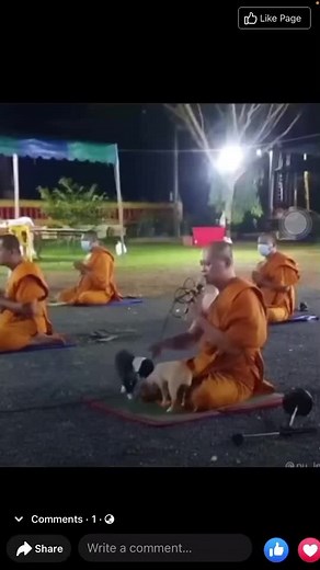Monks Meditating in Serene Outdoor Setting