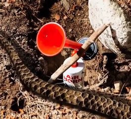 Must-know tricks for outdoor survival!