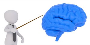 Researchers Identify New Type of PTSD | Neuroscience