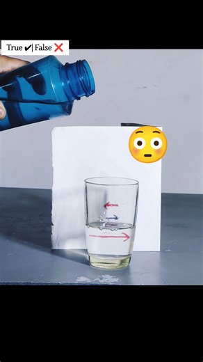 Water Refraction or Editing Fail? 🤔 | Science magic trick #science #experiment #shorts