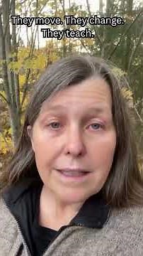 Awareness Breaks the Loop — How Sensations Teach Freedom #feelyourexistence