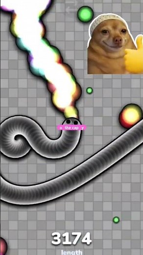 Slither io gameplay
