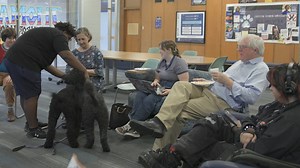 Secure your future with free tuition at EIU! Apply or visit now for endless opportunities. | Eastern Illinois University