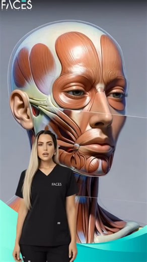 “Complete International-Standard Aesthetics Training Under One Roof!” “From Anatomy and Advanced Dermal Fillers to Liquid Rhinoplasty, Skin Boosters, Fat Dissolving, and more — take the next step toward a confident and successful aesthetics career today.” | Faces on Faces Academy