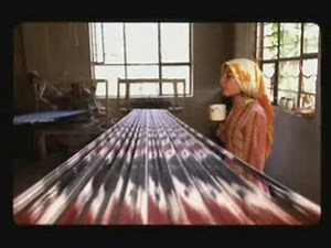 MP: Silk Worms on Silk Road for Marco Polo?