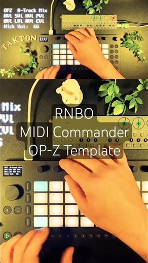 RNBO Midi Commander OP-Z Template