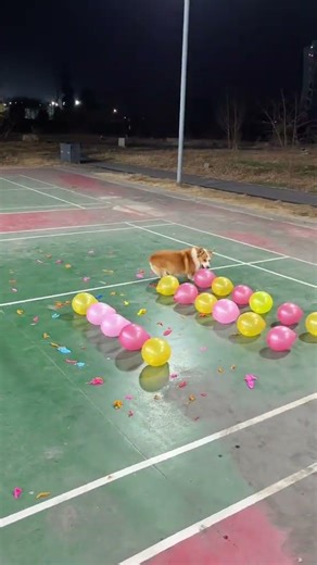 New Year is here! Let’s set off a firecracker to cheer everyone up! I wish you all good luck soon a