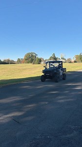 Watch out Green Hill......Jasper on the loose | Lyndsey Davis