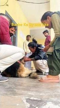 Bacche ke liya itna to kar sakte ho 🥰. #dog #petlover #dogshorts