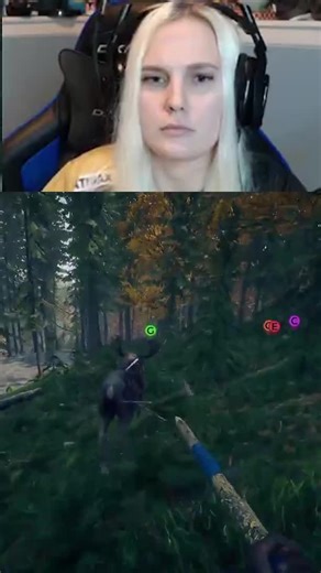 Understanding Moose Attacks in the Wild