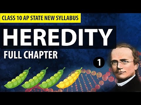 HEREDITY CLASS 10 FULL CHAPTER Explanation in Telugu | CBSE & AP State New Syllabus