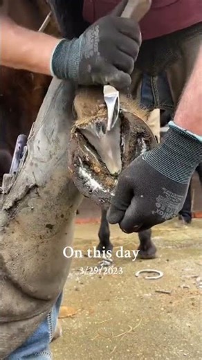 #onthisday juicy frog trim 💅