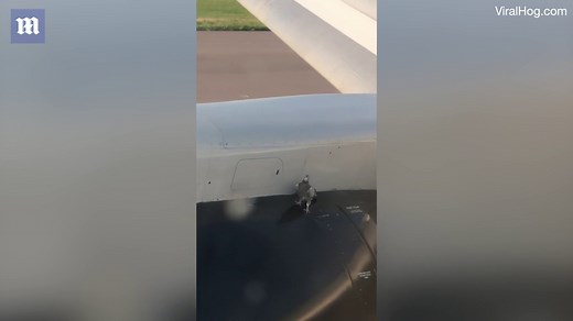 Crazy moment pigeon holds onto plane wing during takeoff