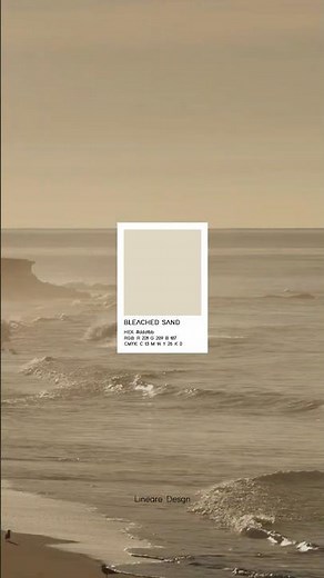 Color To Focus On: Bleached Sand ⌛ 🎨#colorinspiration #shortsyoutube