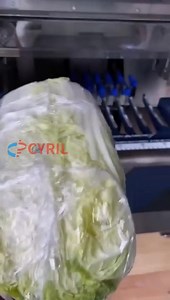 Plastic wrap packaging machine, packaging vegetables and fruits #packingmachine #Clingfilmpackagingmachine | Henan Cyril Machinery Equipment Co.,LTD