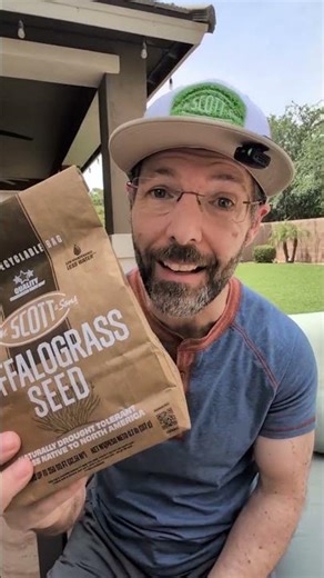 Scotts buffalograss seed is the low maintenance drought tolerant lawn that saves you time AND money