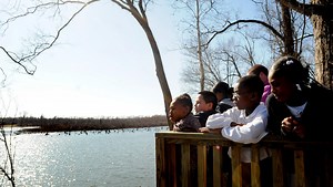 5 family-friendly activities at the Red River National Wildlife Refuge
